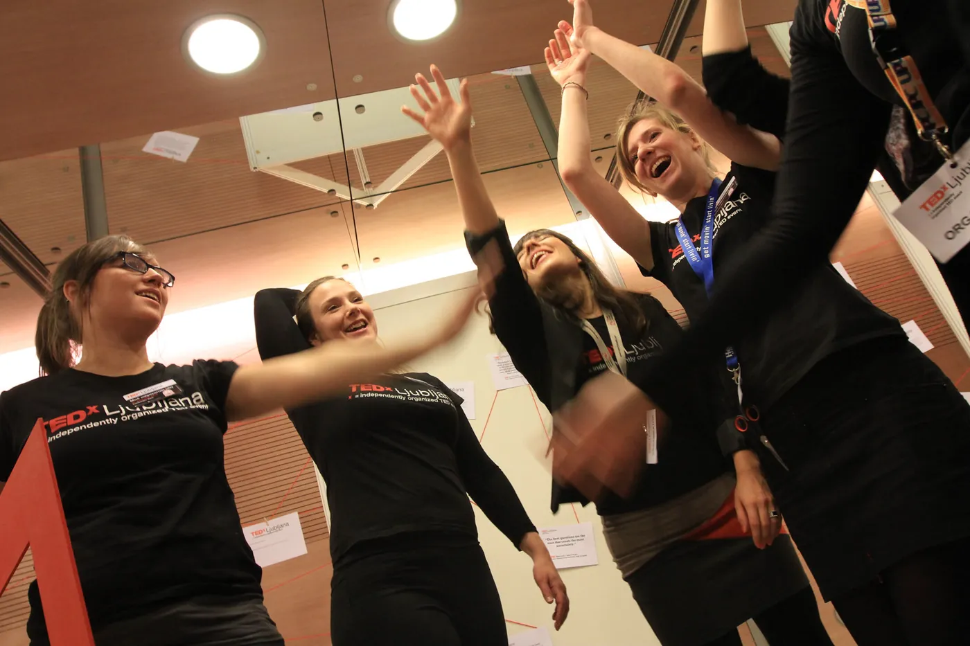 TEDxLjubljana - Moč odgovornih idej, 15.12.2013